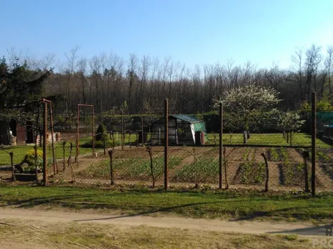 Prodej zahrady, Hodonín, 585 m2