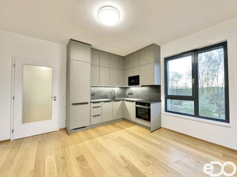 Pronájem bytu 2+kk, Praha - Stodůlky, Hasilova, 59 m2