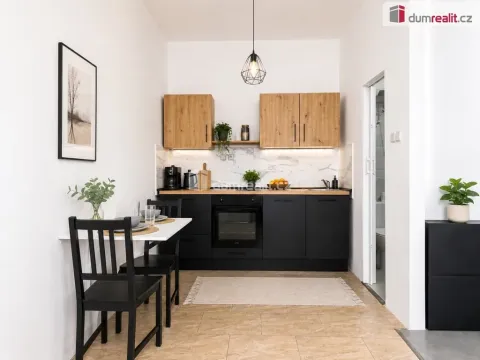 Pronájem bytu 1+kk, Ústí nad Labem - Ústí nad Labem-centrum, Emy Destinové, 21 m2