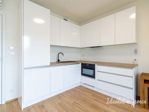 Pronájem bytu 1+kk, Praha - Žižkov, Basilejské náměstí, 42 m2
