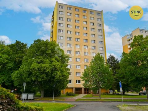 Prodej bytu 3+1, Veselí nad Moravou, Hutník, 62 m2