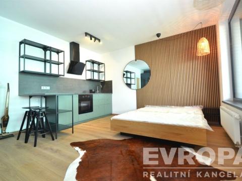 Pronájem bytu 1+kk, Praha - Žižkov, Olgy Havlové, 41 m2