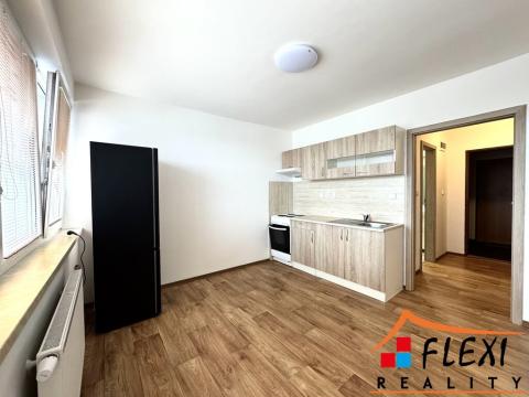 Pronájem bytu 1+1, Ostrava, Hrušovská, 48 m2