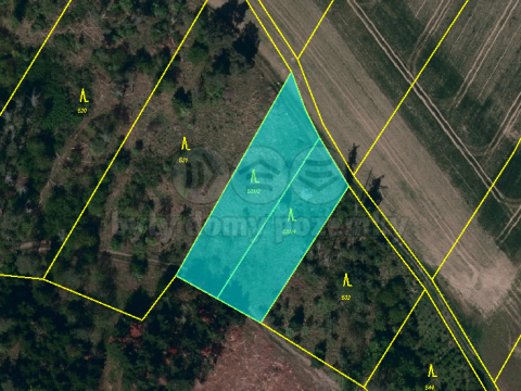 Prodej lesa, Střítež, 4100 m2