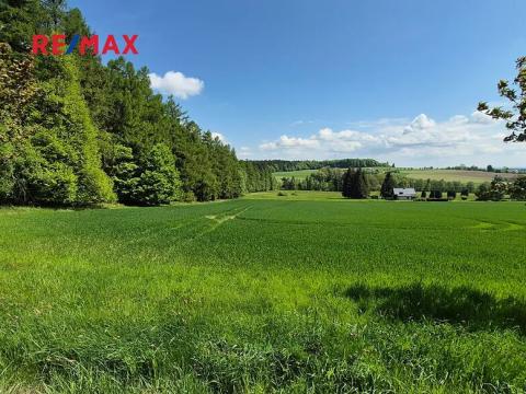Prodej pozemku pro bydlení, Borová, 7429 m2