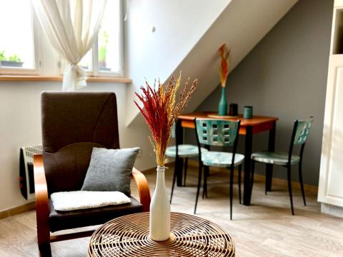 Pronájem bytu 2+kk, Karlovy Vary, Vřídelní, 43 m2
