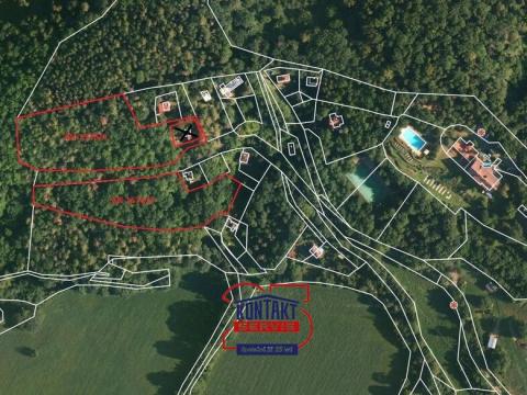 Prodej lesa, Radíč, 12432 m2