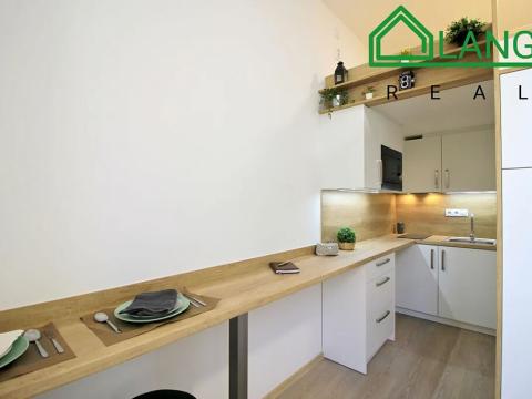 Pronájem bytu 1+kk, Brno, Koliště, 23 m2