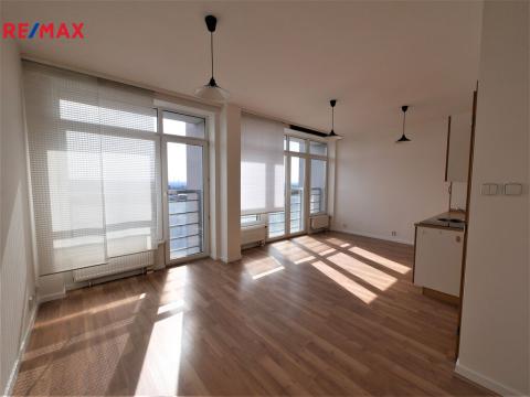 Prodej bytu 1+kk, Praha - Strašnice, Vinohradská, 28 m2