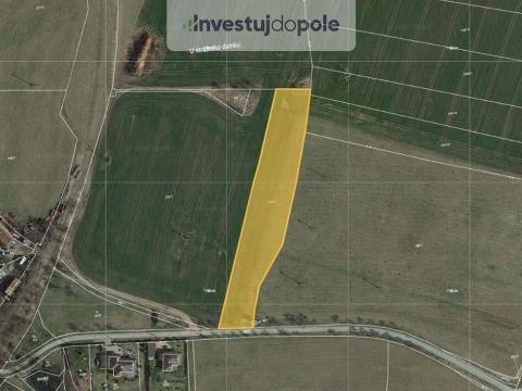 Prodej pole, Olbramovice - Zahradnice, 987 m2