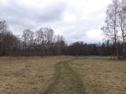 Prodej pozemku, Chlum u Třeboně - Lutová, 6727 m2