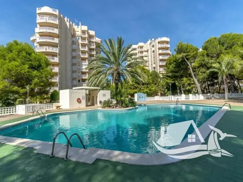 Prodej bytu 3+kk, Torrevieja, Španělsko, 70 m2