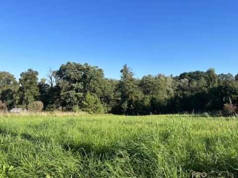 Prodej komerčního pozemku, Třinec - Konská, 2450 m2