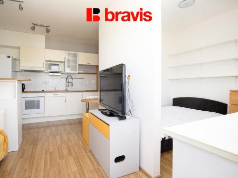 Pronájem bytu 1+kk, Brno, Říčanská, 35 m2