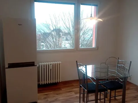 Prodej bytu 1+1, Ústí nad Labem, Žukovova, 36 m2