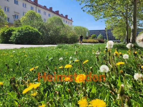 Pronájem kanceláře, Karviná - Nové Město, nám. Budovatelů, 49 m2