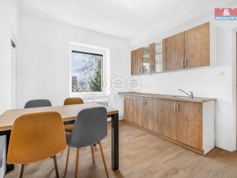 Pronájem bytu 1+kk, Plazy, 24 m2