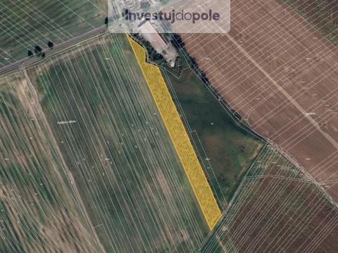 Prodej pozemku, Šardice, 11718 m2
