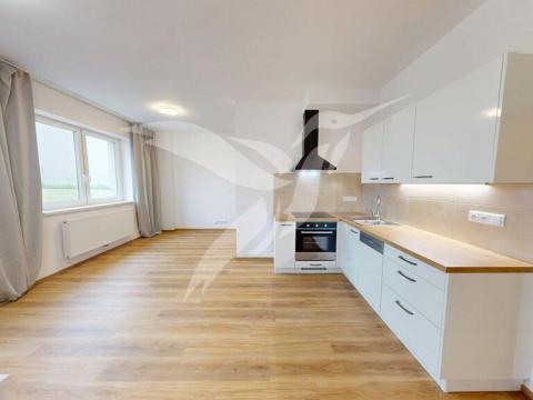 Pronájem bytu 1+kk, Plzeň, Františka Kováříka, 44 m2