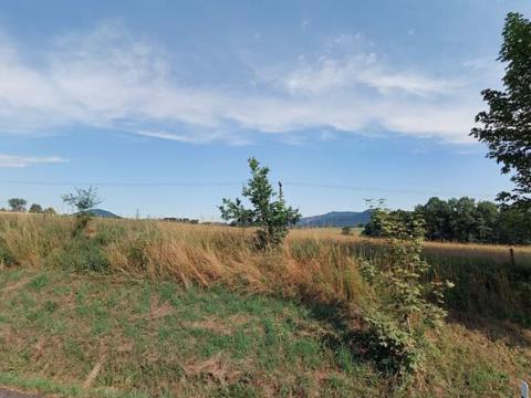 Prodej pole, Jablonné v Podještědí, 10992 m2