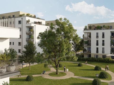 Prodej bytu 1+kk, Rychnov nad Kněžnou, Mírová, 31 m2