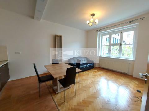 Pronájem bytu 2+kk, Praha, U měšťanského pivovaru, 50 m2