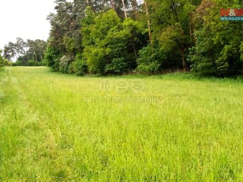 Prodej pozemku pro bydlení, Vlašim, 10664 m2
