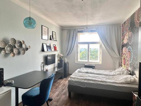 Pronájem bytu 1+kk, Praha - Žižkov, Hartigova, 22 m2