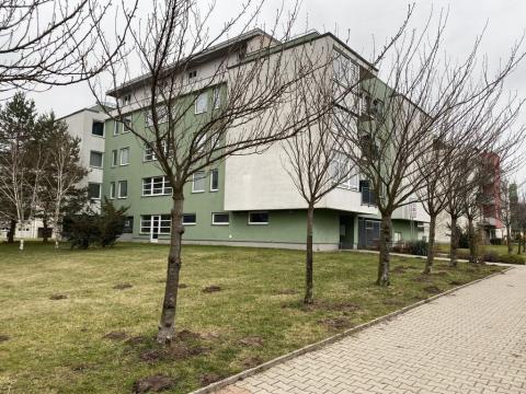 Pronájem bytu 2+kk, Hradec Králové - Třebeš, Svatojánská, 30 m2