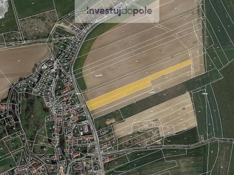 Prodej pozemku, Říčany - Jažlovice, 8031 m2