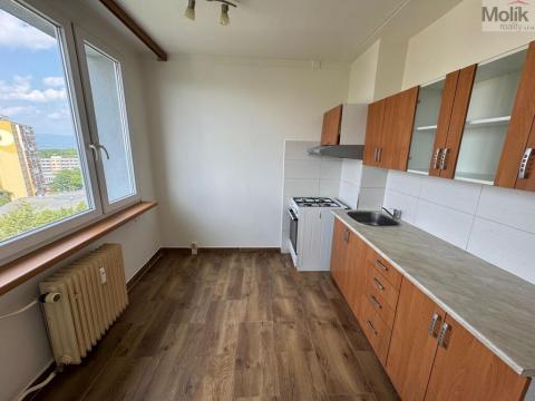 Pronájem bytu 1+1, Most, Javorová, 34 m2