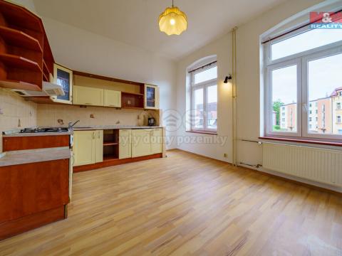 Prodej bytu 1+1, Cheb, Palackého, 43 m2