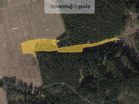 Prodej louky, Planá - Svahy, 17895 m2