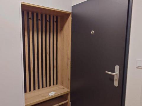 Pronájem bytu 1+kk, Přerov - Přerov I-Město, Seifertova, 39 m2