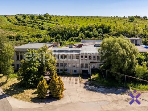 Prodej výrobních prostor, Šardice, 1837 m2