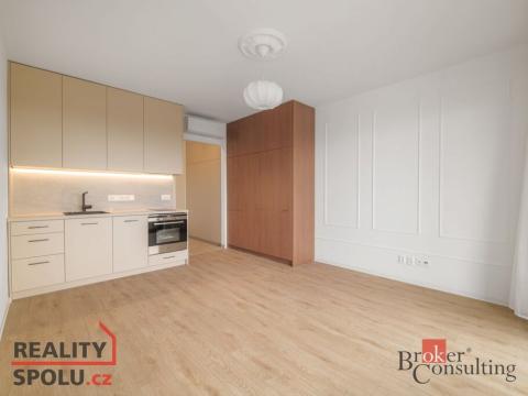 Pronájem bytu 1+kk, Plzeň - Jižní Předměstí, U Borského parku, 34 m2