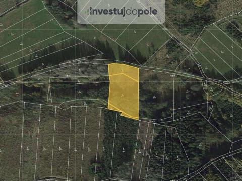 Prodej louky, Vápovice, 4174 m2