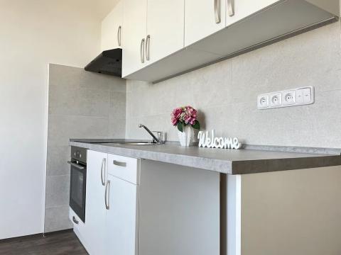 Pronájem bytu 1+1, Litvínov, Školní, 35 m2