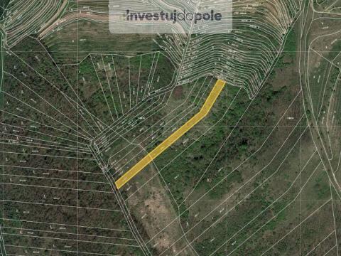 Prodej pole, Hustopeče, 1770 m2
