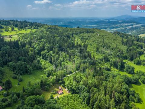 Prodej lesa, Chuchelna, 29930 m2