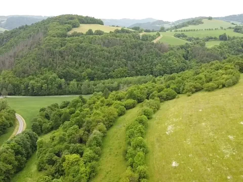 Dražba louky, Skorotice, 30636 m2
