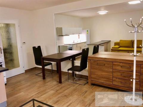 Pronájem bytu 1+kk, Brno, Merhautova, 34 m2