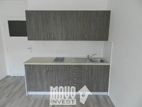 Pronájem bytu 1+kk, Praha - Smíchov, Holečkova, 28 m2