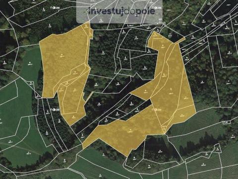 Prodej lesa, Hovězí, 32951 m2