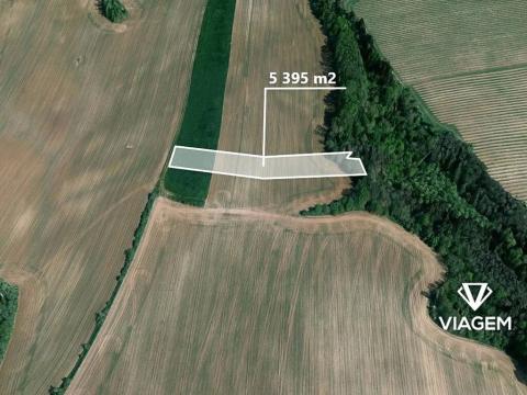 Prodej podílu pole, Hostějov, 899 m2