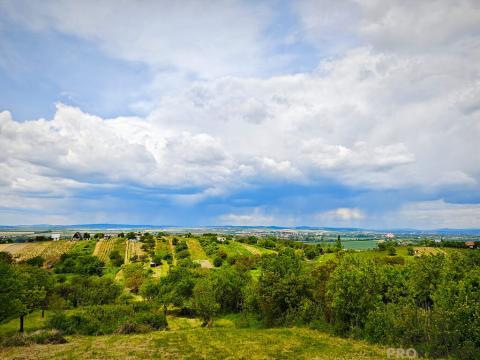 Prodej zahrady, Blučina, 7961 m2