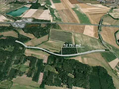 Prodej podílu lesa, Sokoleč, 799 m2