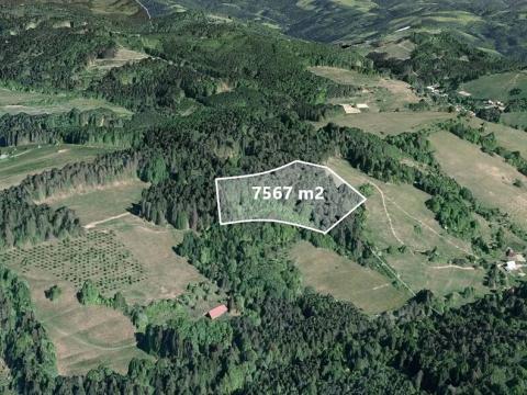 Prodej pole, Francova Lhota, 7567 m2