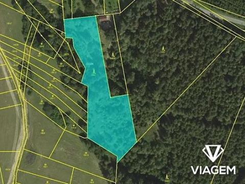 Prodej podílu lesa, Velenov, 1207 m2