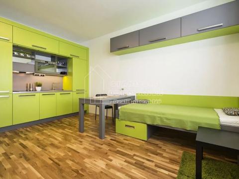 Pronájem pokoje, Praha - Kobylisy, Střelničná, 22 m2